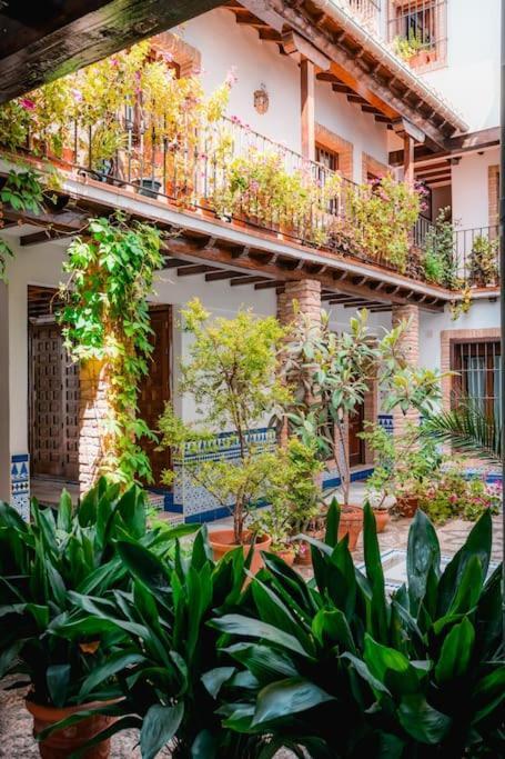 Qh Caldeleria Vieja Apartment Гранада Екстериор снимка
